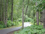 The Tony Knowles Coastal Trail