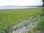 Downtown Anchorage from the Coastal Trail