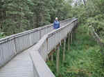 The boardwalk to Brooks Falls