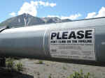 The Alaska Pipeline