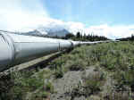 The Alaska Pipeline