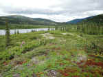 We hiked through tundra at Wonder Lake