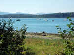 Bartlett Cove at Glacier Bay