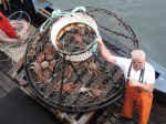 We went on the Bering Sea Crab Fishermen tour