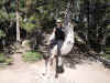 DSCN9256.JPG (2677232 bytes)