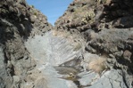 The slot canyon that was NOT the trail.