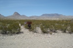 After a three-mile detour, Charlie reached the trailhead on Black Gap road where he and Janice had planned to meet.