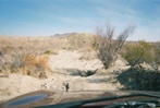 By the time Janice made it to the trailhead and found Charlie's note, he was hiking back up into the mountains.