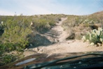 On Black Gap Road.