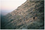 Sunrise on the Dodson trail