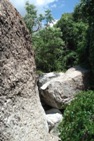 We tried hiking right to the base of the Window waterfall but this boulder stopped us