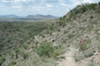 On the trail to Cattail Falls