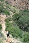 On the trail to Cattail Falls