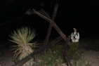 The first collapsed tramway tower on the Ore Terminal trail