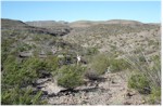 Rancherias Canyon in Big Bend State Park