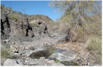 Rancherias Canyon in Big Bend State Park