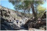Rancherias Canyon in Big Bend State Park