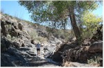 Rancherias Canyon in Big Bend State Park