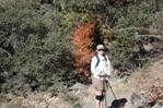 On the Boot Canyon trail