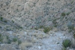 Climbing a steep section of the Marufo Vega trail