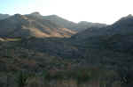 Looking North towards the Chisos Mountains at sunrise.