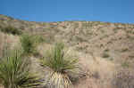 It was hard to see many of the cairns that mark the trail.