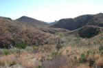 Looking East from one of the ridges under Elephant Tusk.