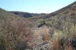 The dry washes were easier to walk through than the cactus-covered slopes.