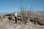 A geologist had told us about petrified wood in the park, so we went looking for it and found it.