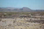 The petrified wood isn't too far from the main park road (that's our car in the distance).