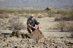 Petrified wood in Big Bend National Park.