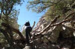 Janice scrambling up towards the top.