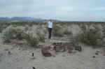 Ruins of the Starr Ranch next to the Model T