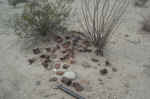 Lots of burned cans at the old Starr Ranch