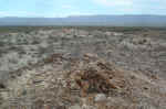 Petrified wood near the Starr Ranch and the Model T