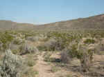 The trail to the Cuesta Carlota pass that leads to the Ernst Basin