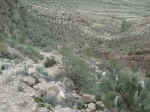 The trail up to the Saddle