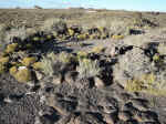 A rock circle on the Mesa