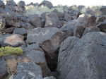 Petroglyphs