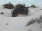 The gypsum sand dunes at White Sands