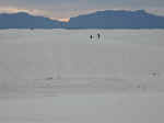 The gypsum sand dunes at White Sands