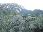 The Laguna Meadows trail at Big Bend leads up to the pass