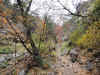 DSCN9349.JPG (2586543 bytes)