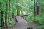 A lot of the trails are built on boardwalks over flooded areas