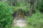 First signs of flooding on the trail