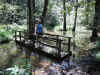 Janice on the trail around Otter Lake