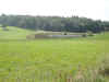 Farmland south of Roanoke