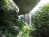 The Linn Cove viaduct