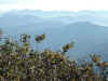 View from the summit of Mount Pisgah