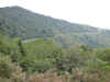 The Parkway viewed from the summit of Waterrock Knob